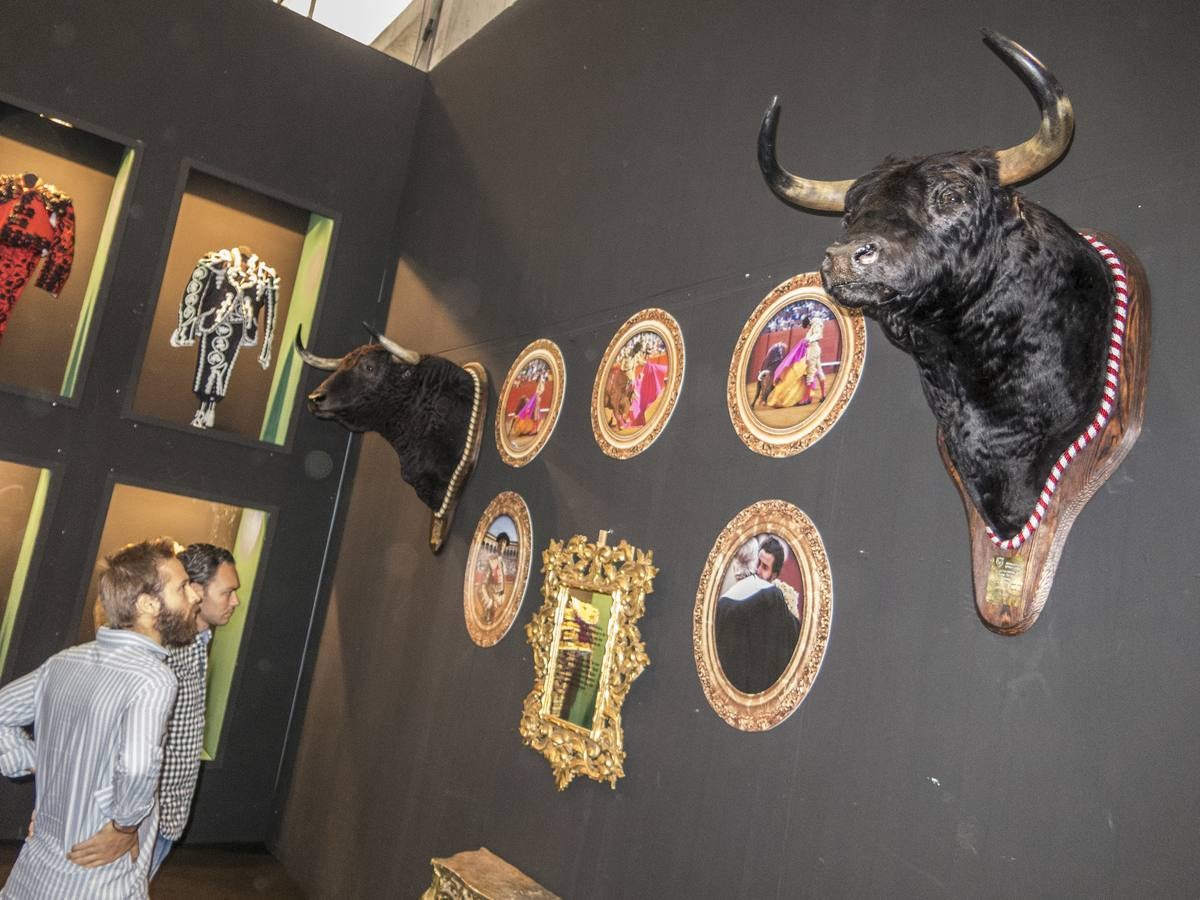 Inauguración de la VIII edición de Ecuextre