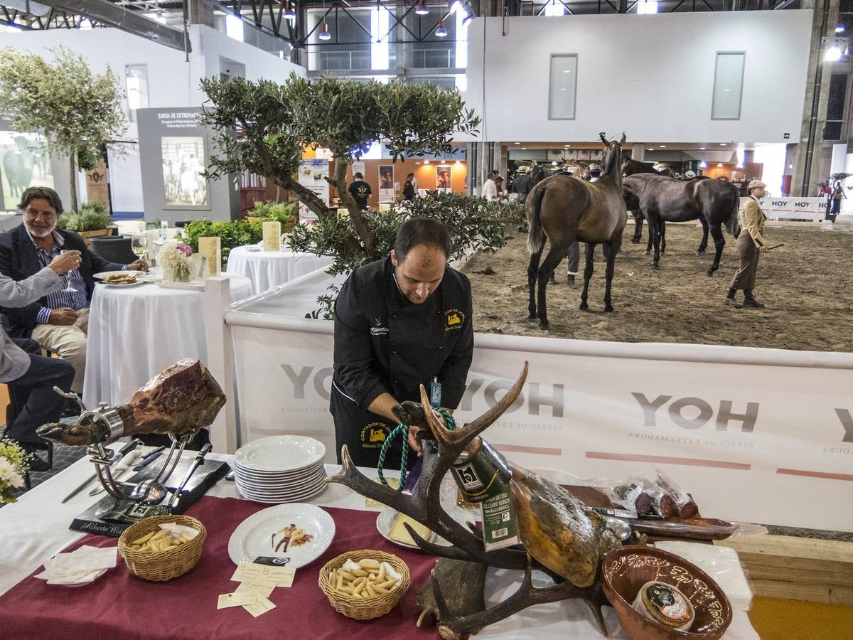 Inauguración de la VIII edición de Ecuextre