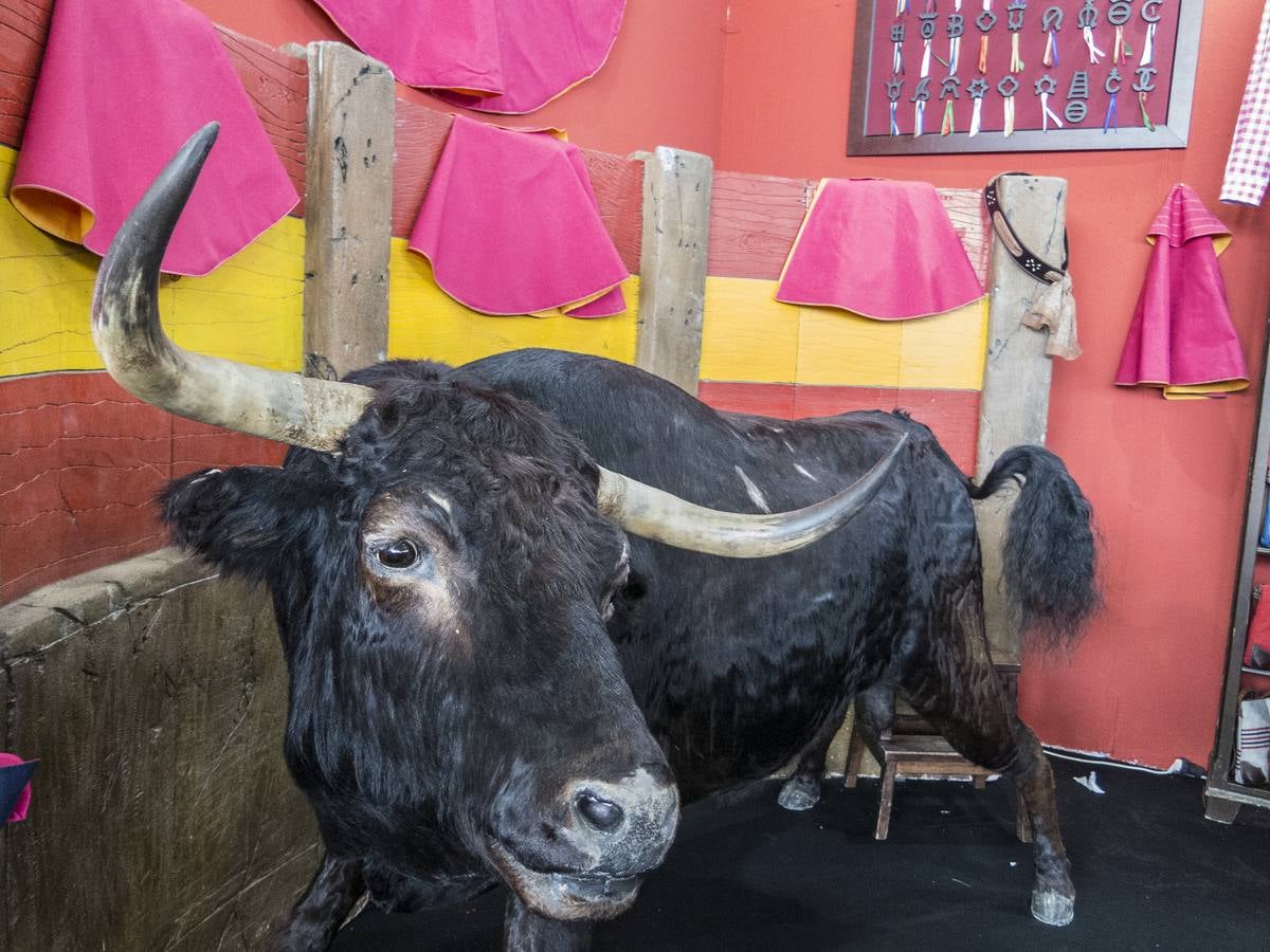 Inauguración de la VIII edición de Ecuextre