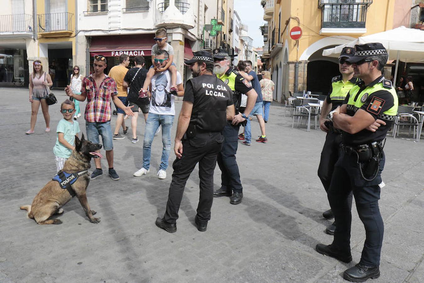 Jueves en la Feria de Plasencia