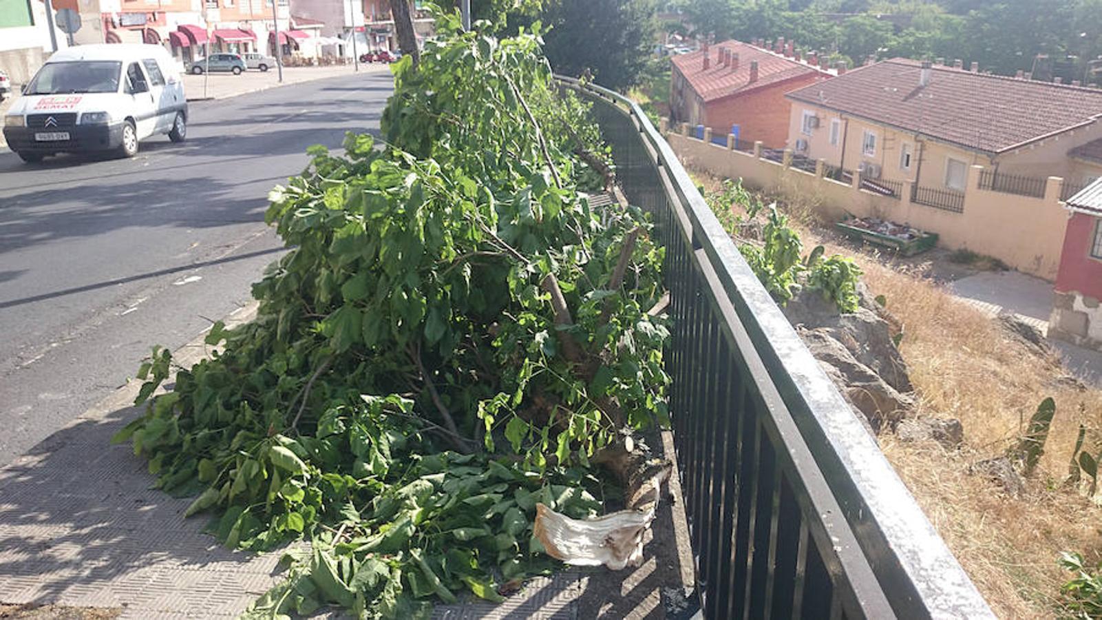 Una fuerte tormenta provoca el caos en Plasencia
