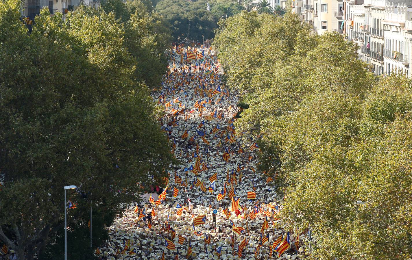 Domingo, 11 de septiembre: Celebración de la Diada en Cataluña. Fotografías: Agencias.