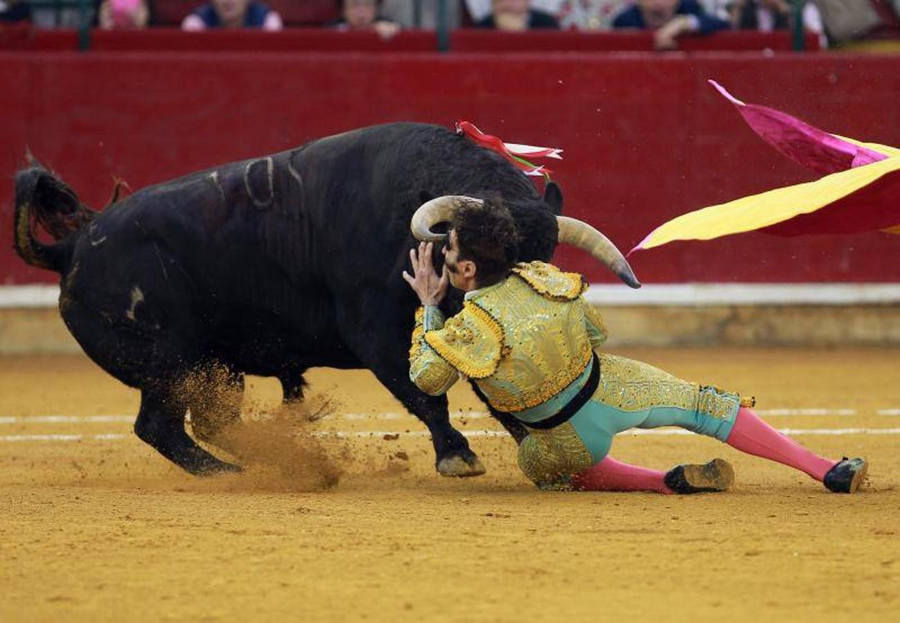 Imágenes de la cogida a Juan José Padilla en Zaragoza