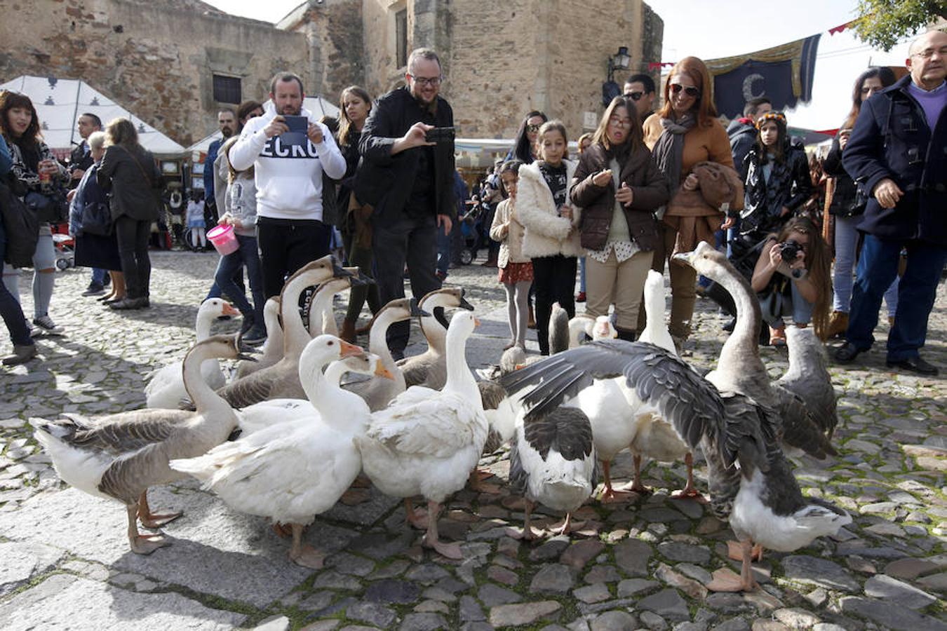 Mercado Medieval en Cáceres