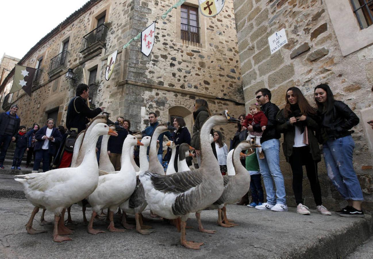 Mercado Medieval en Cáceres