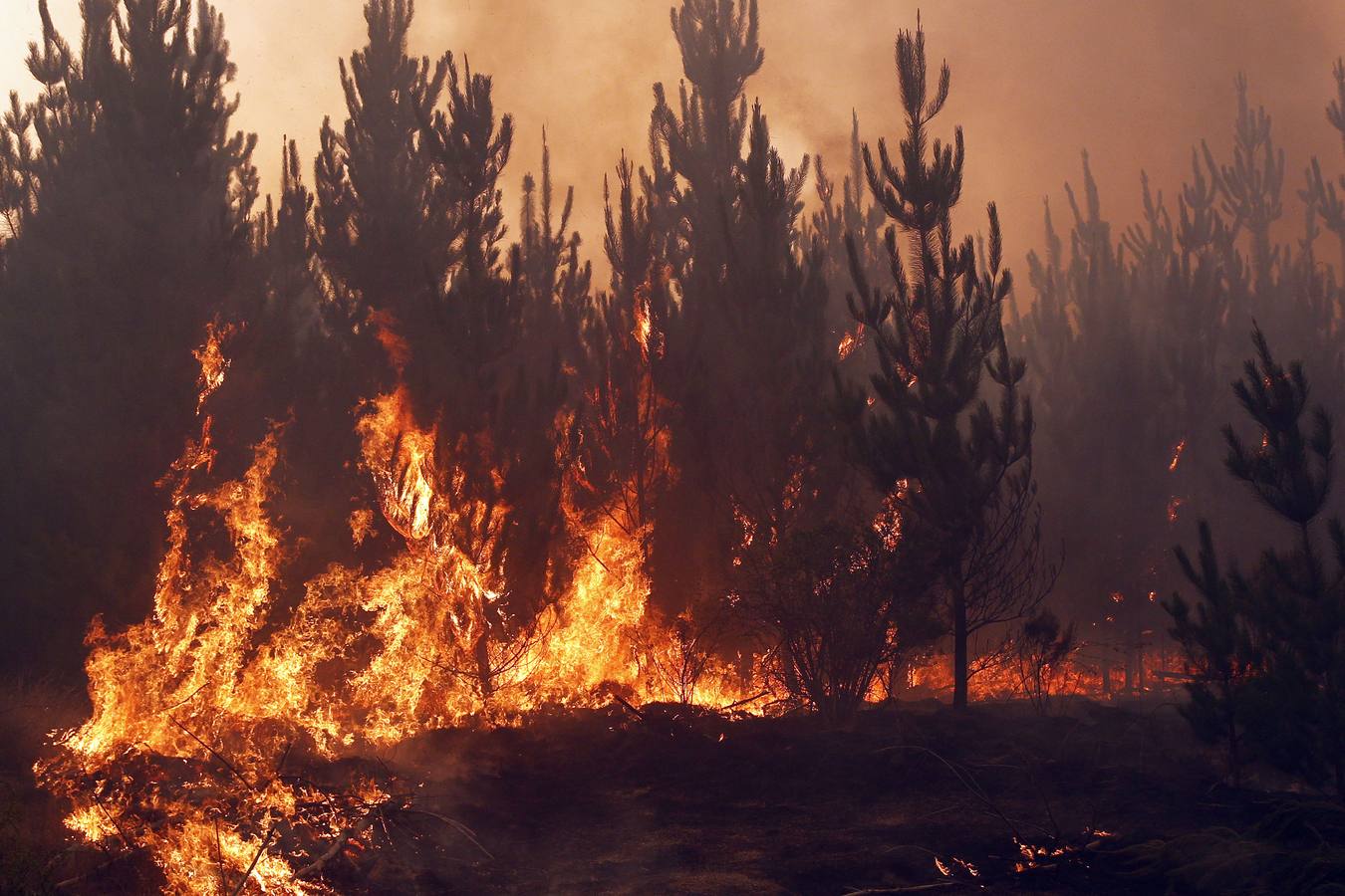 Evacúan a 4.000 personas por el incendio forestal en el sur de Chile