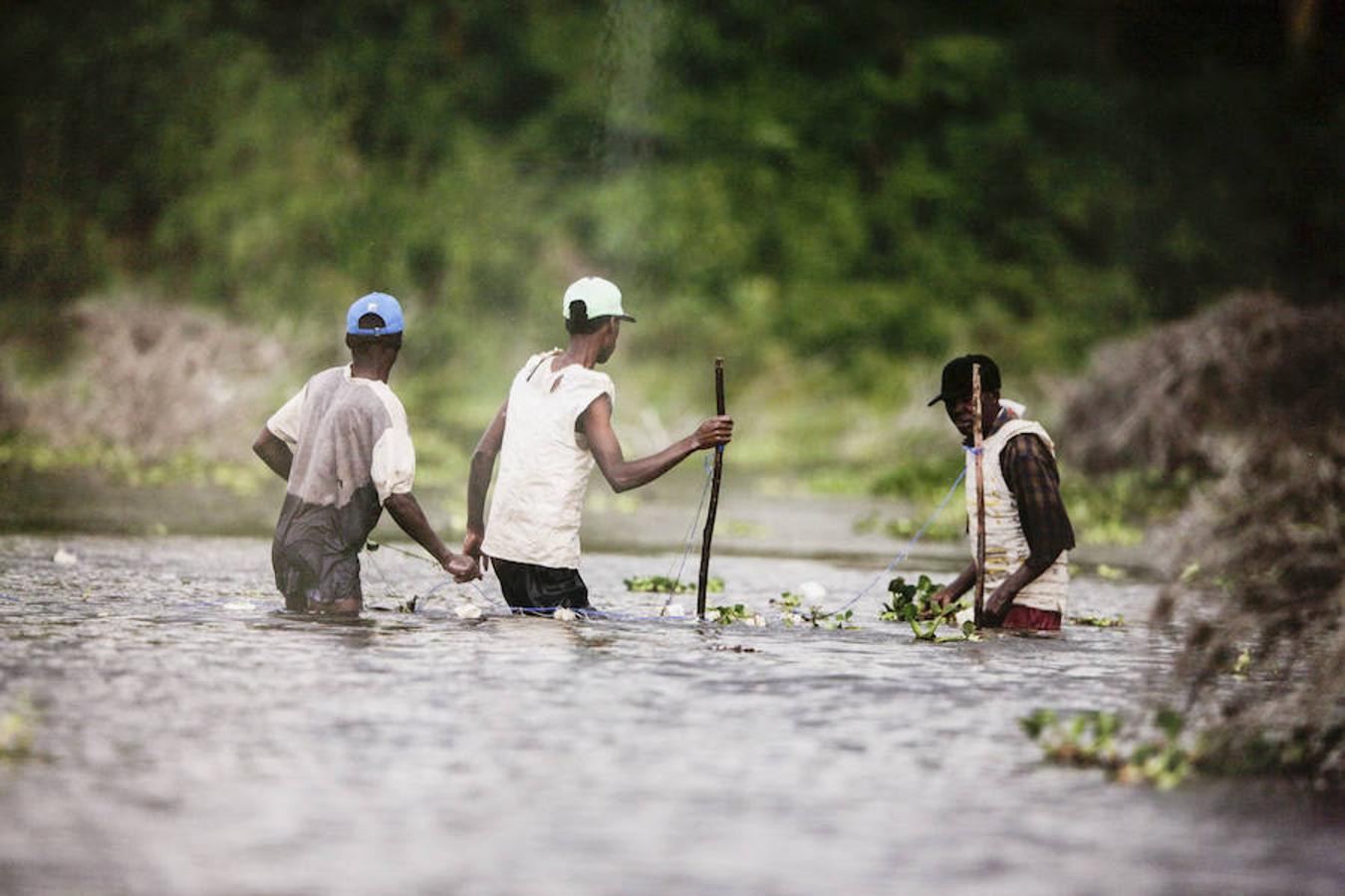 &#039;Memorias de África&#039;, de Alejo Leal