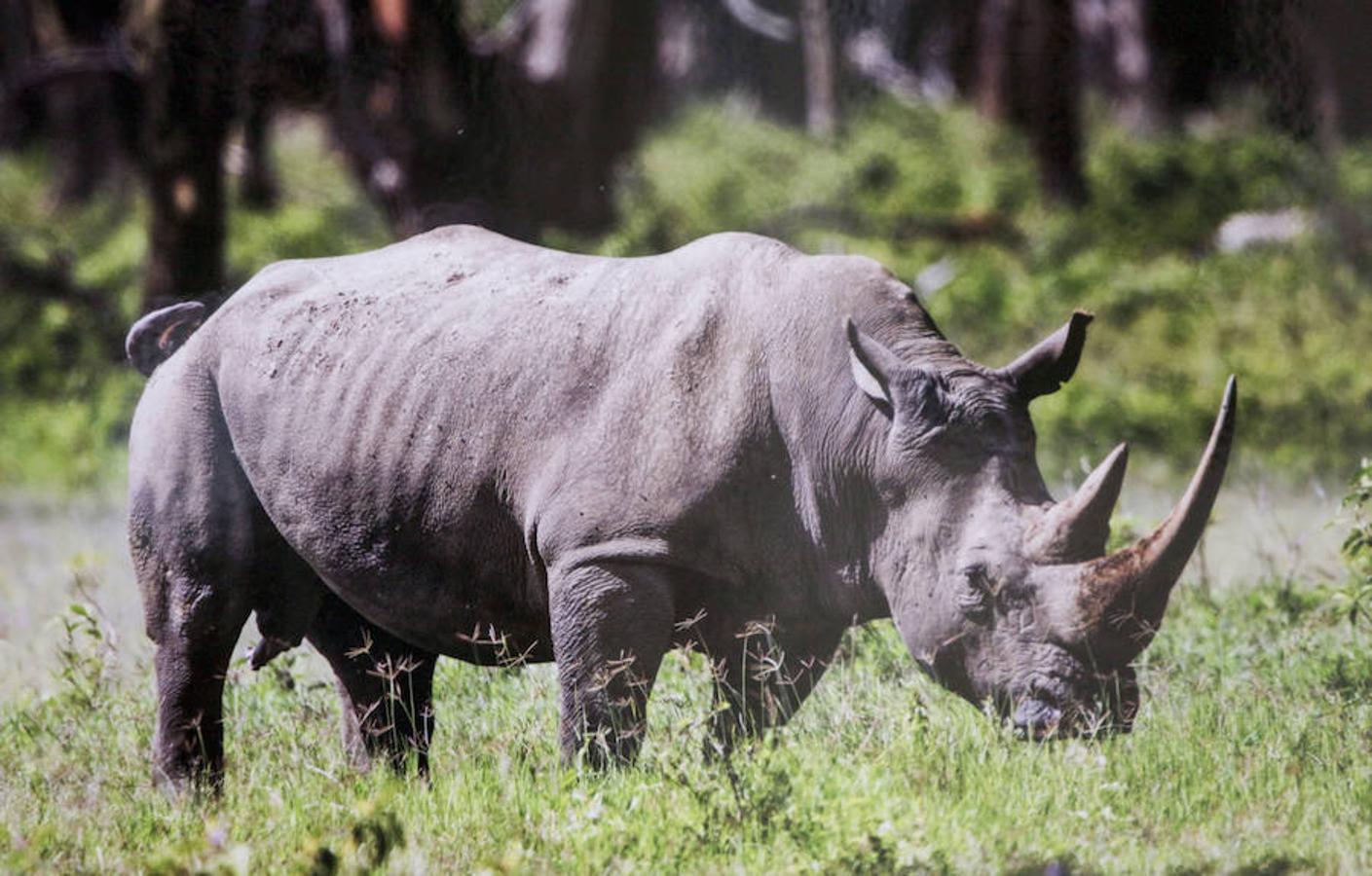 &#039;Memorias de África&#039;, de Alejo Leal