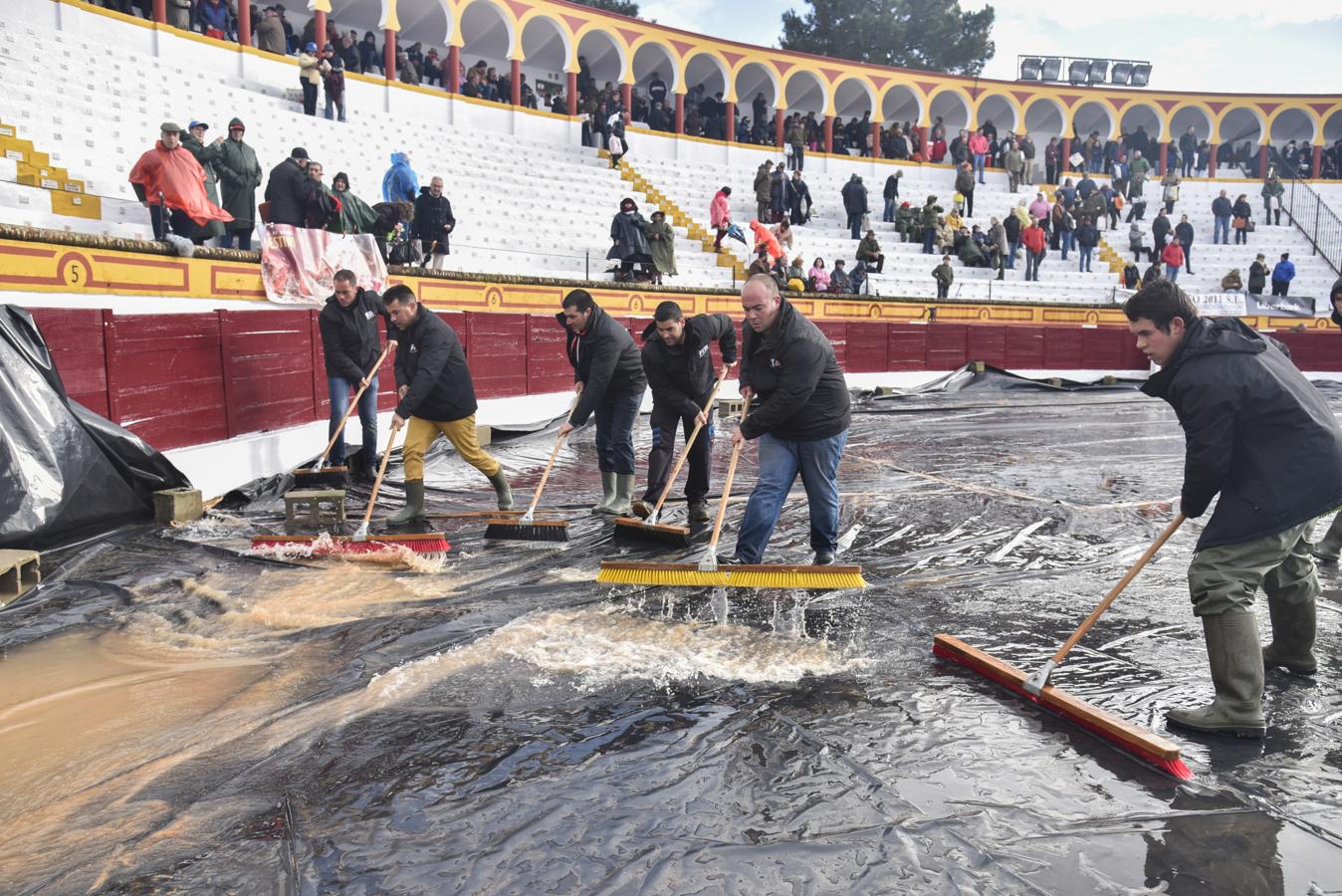 Primera novillada de la Feria Taurina de Olivenza