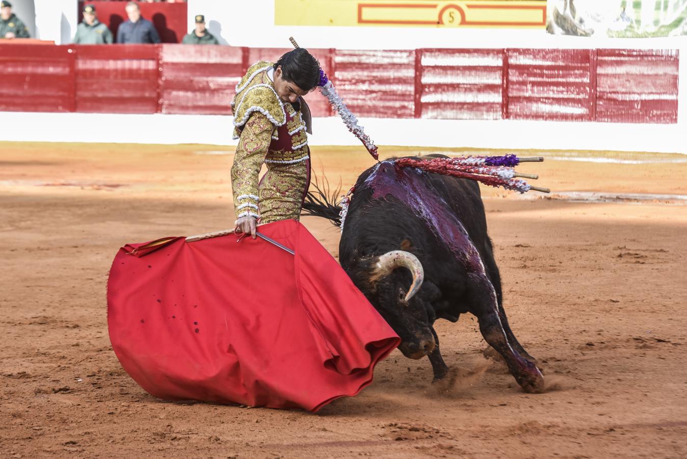 Primera novillada de la Feria Taurina de Olivenza