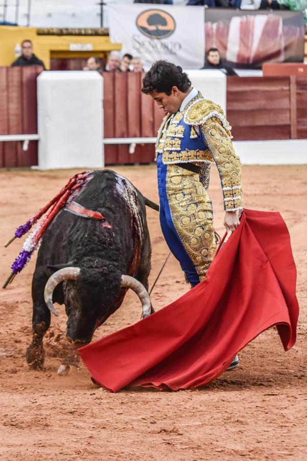 Primera novillada de la Feria Taurina de Olivenza