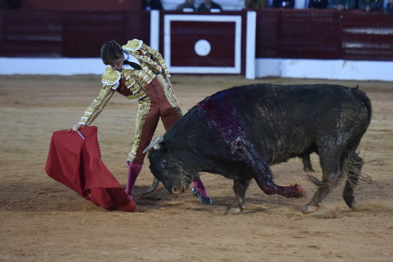 Novillada y corrida de toros del sábado en la Feria Taurina de Olivenza