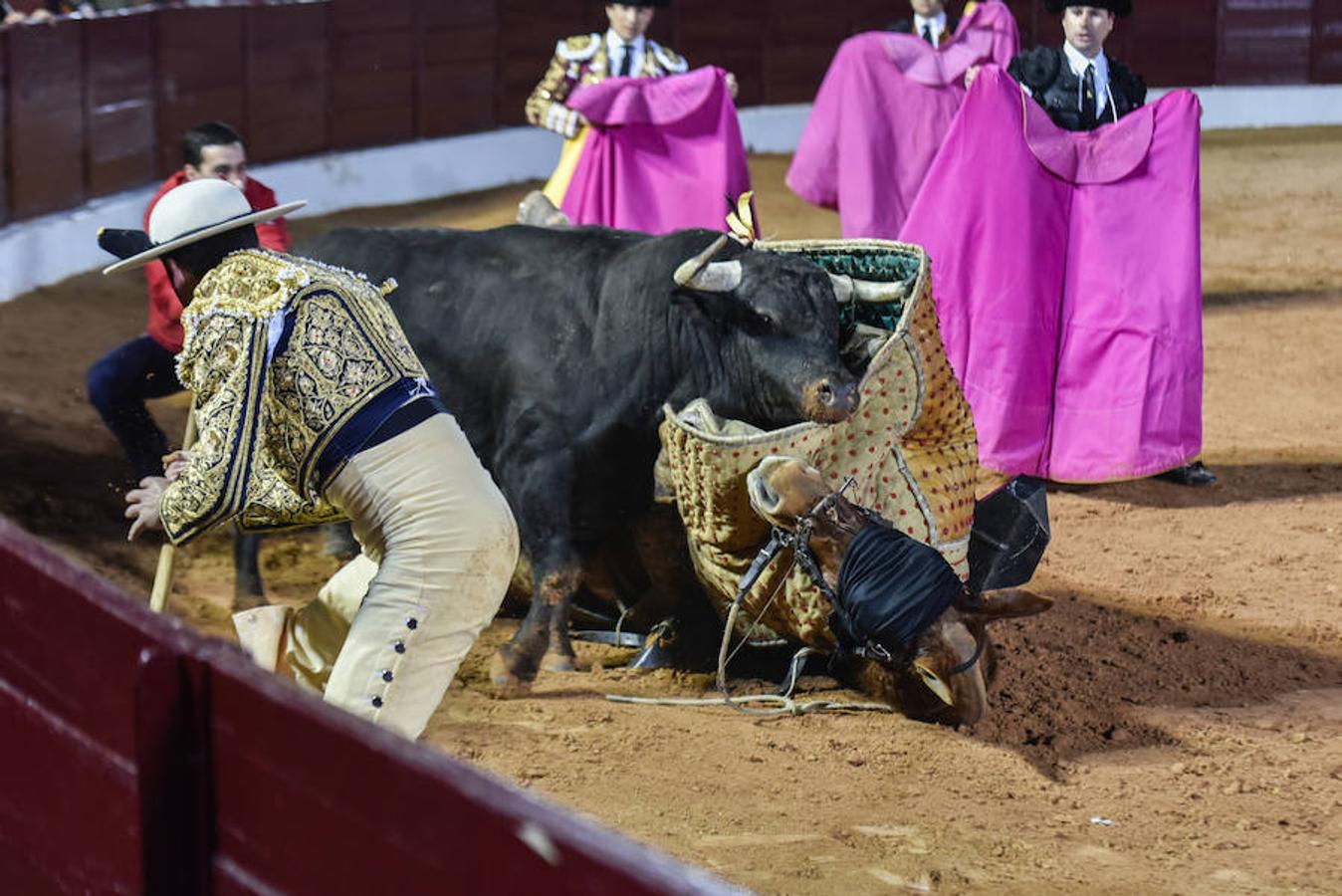 Domingo, 5 de febrero: Feria de Olivenza: El alicantino cuajó posiblemente la faena de la feria, Morante se llevó el peor lote y Roca Rey fue más efectista que artista. Fotografía: JV Arnelas