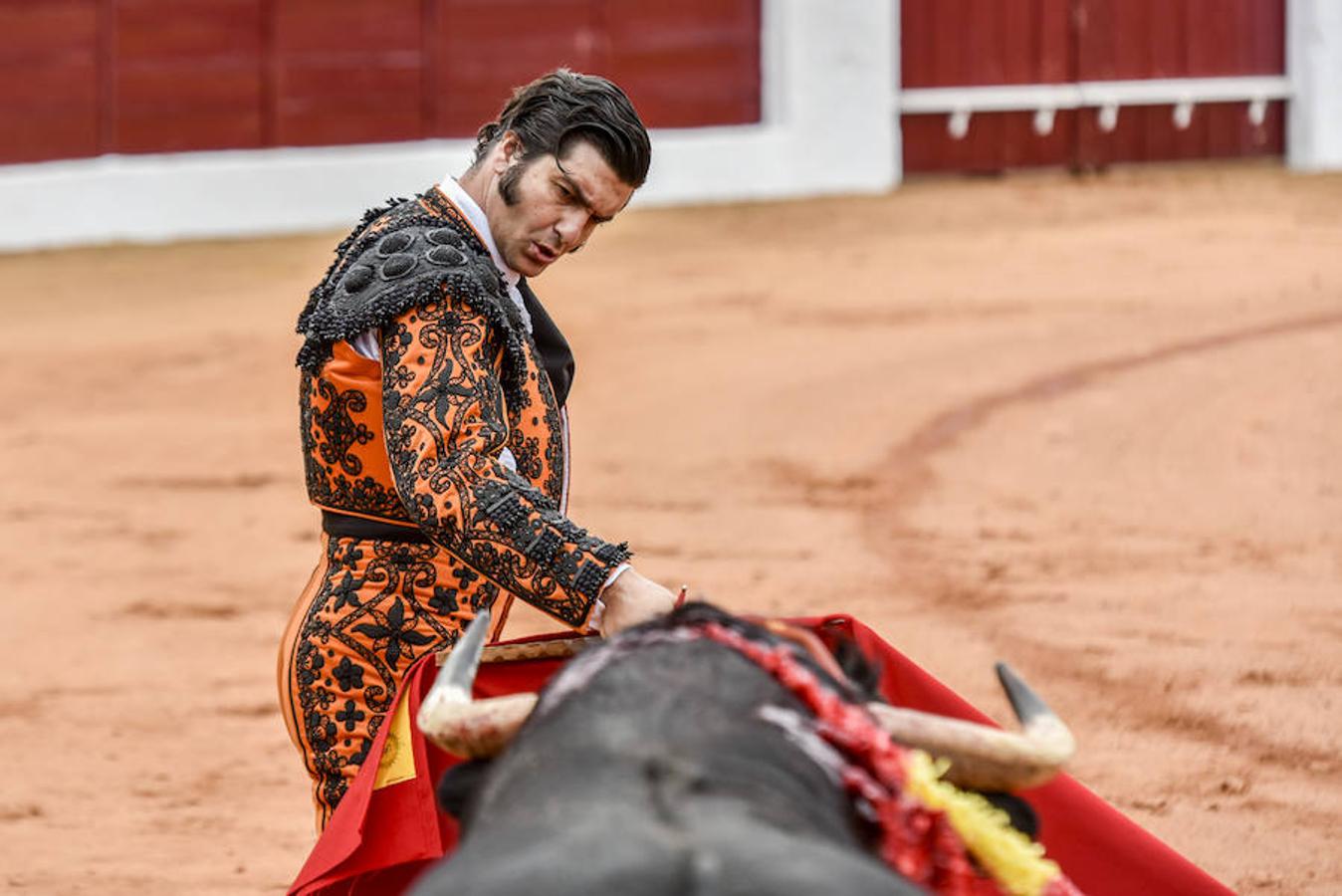 Domingo, 5 de febrero: Feria de Olivenza: El alicantino cuajó posiblemente la faena de la feria, Morante se llevó el peor lote y Roca Rey fue más efectista que artista. Fotografía: JV Arnelas
