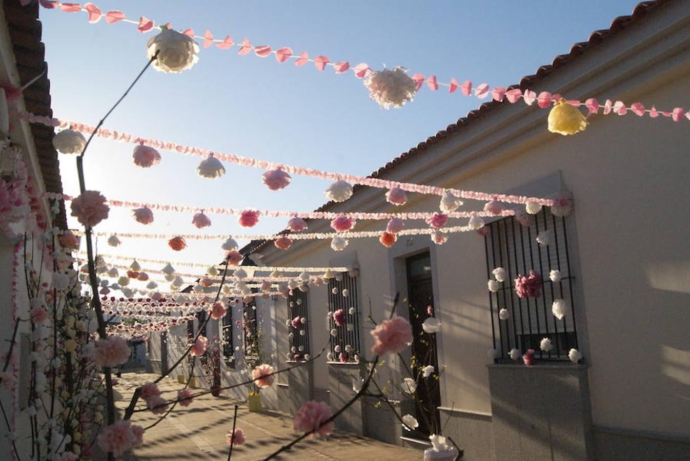 La floración acerca la primavera a Valdelacalzada