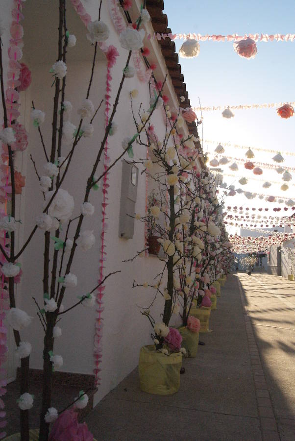 La floración acerca la primavera a Valdelacalzada