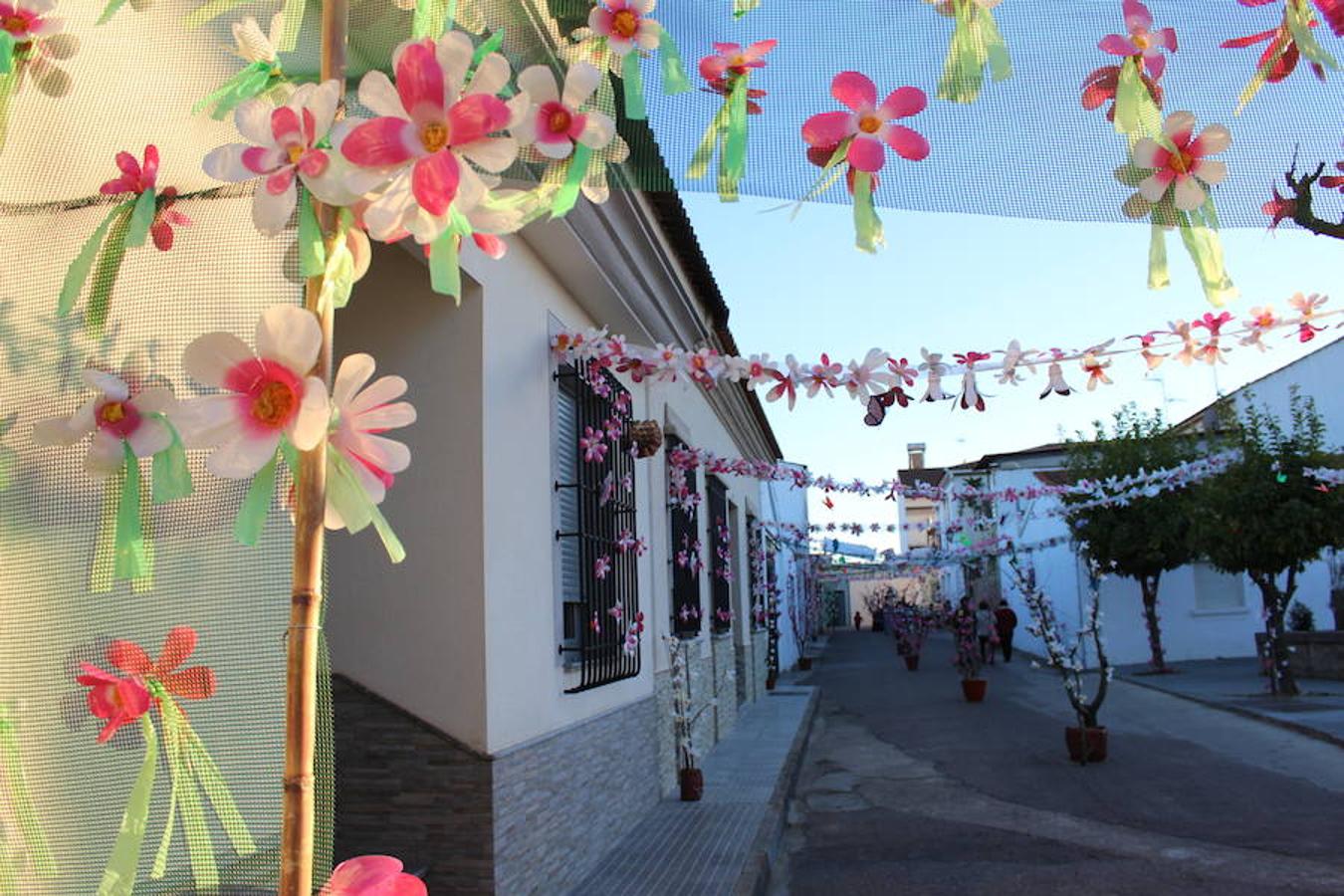 La floración acerca la primavera a Valdelacalzada