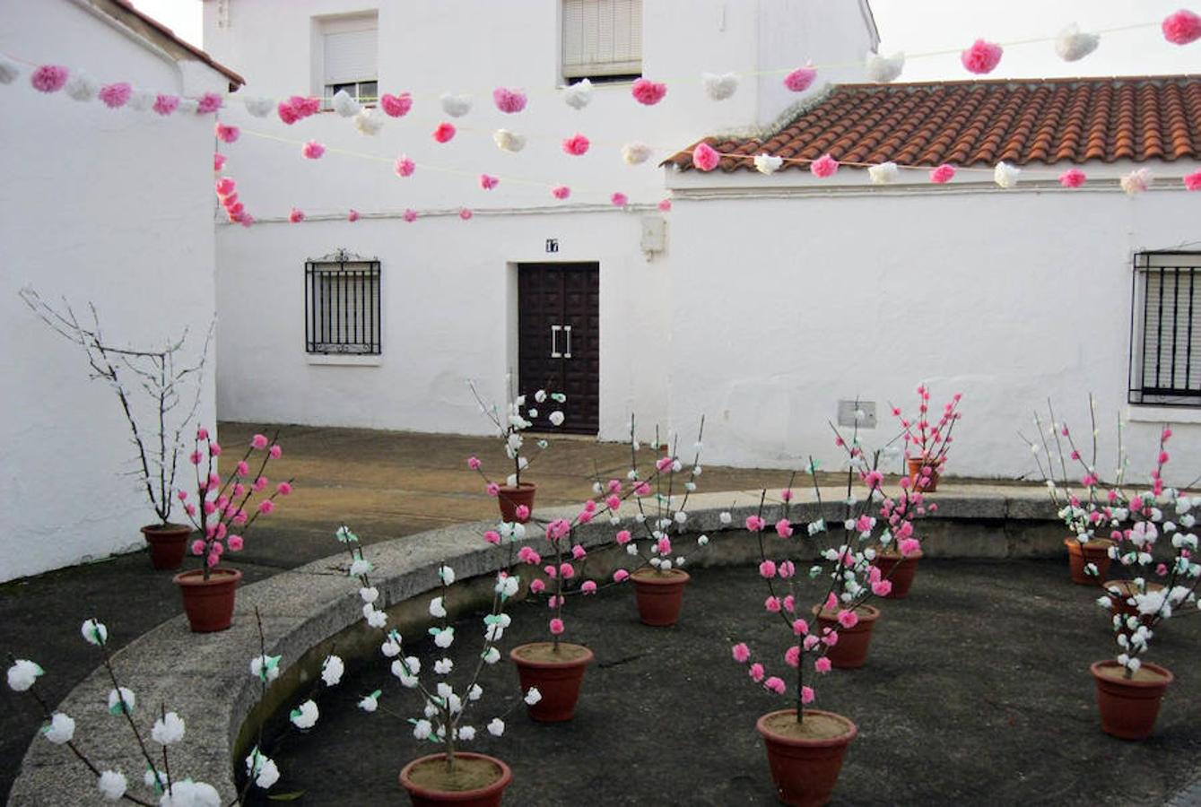 La floración acerca la primavera a Valdelacalzada