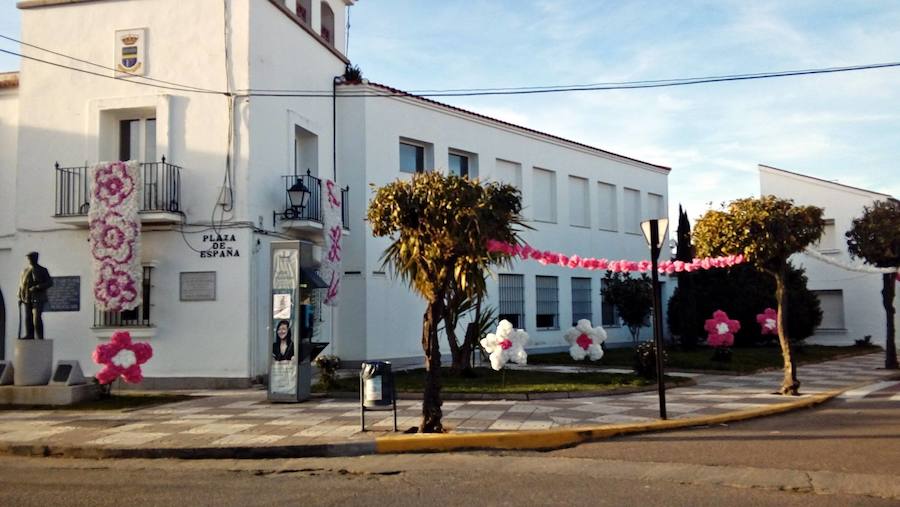 La floración acerca la primavera a Valdelacalzada