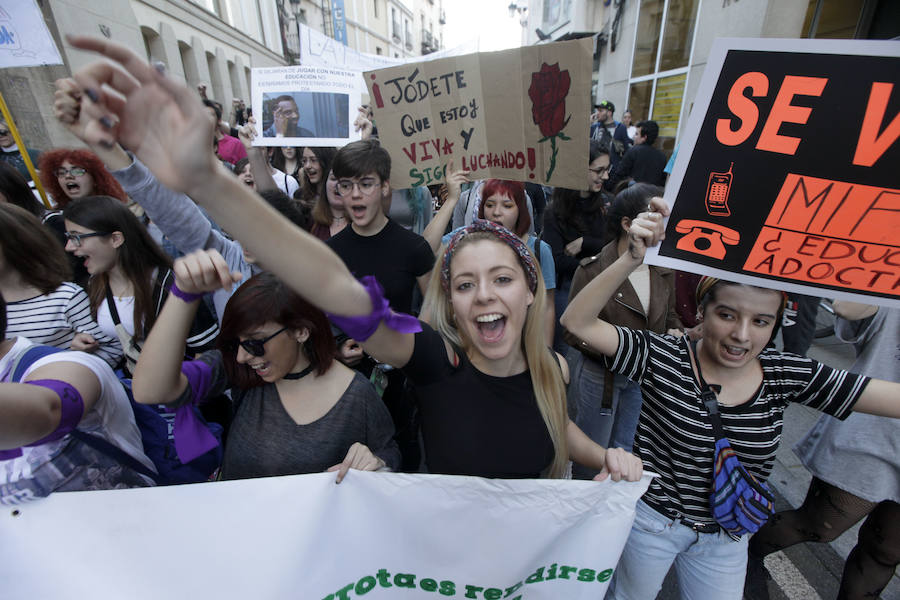 Estudiantes, padres y profesores protestan en Cáceres contra la Lomce