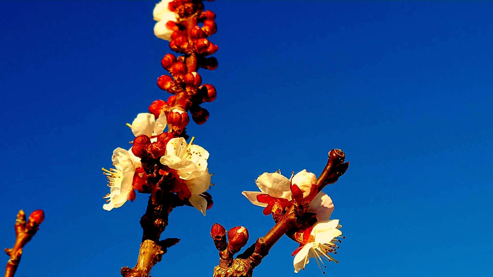 La primavera en la Siberia extremeña