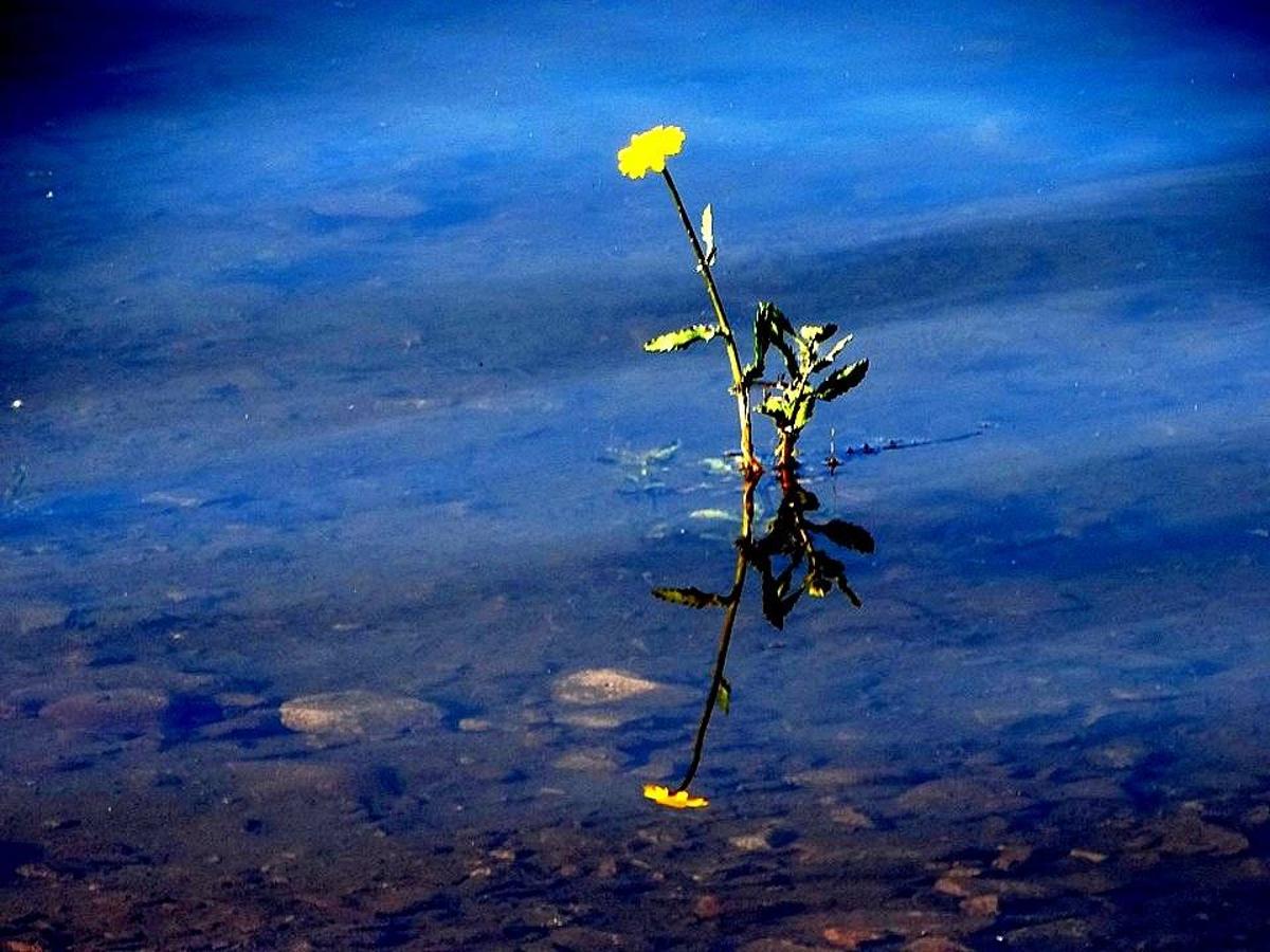 La primavera en la Siberia extremeña