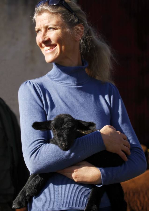 Mantas de lana extremeña con diseño nórdico