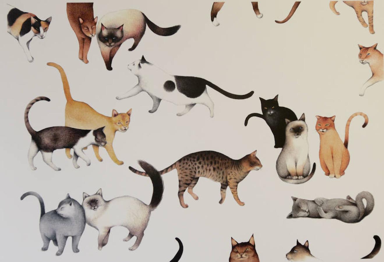 Exposición de ilustraciones de Ester García en Cáceres