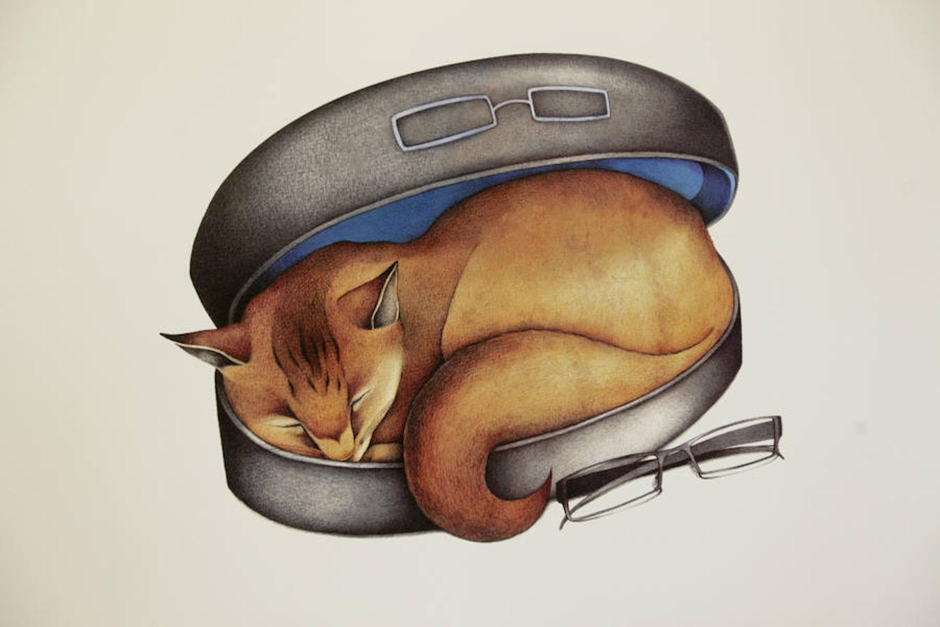 Exposición de ilustraciones de Ester García en Cáceres