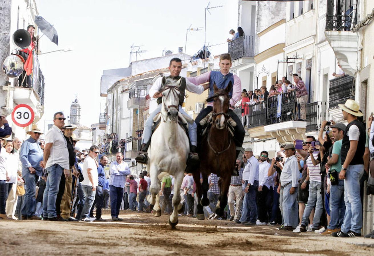 Carreras de caballos del &#039;Día de la Luz&#039;