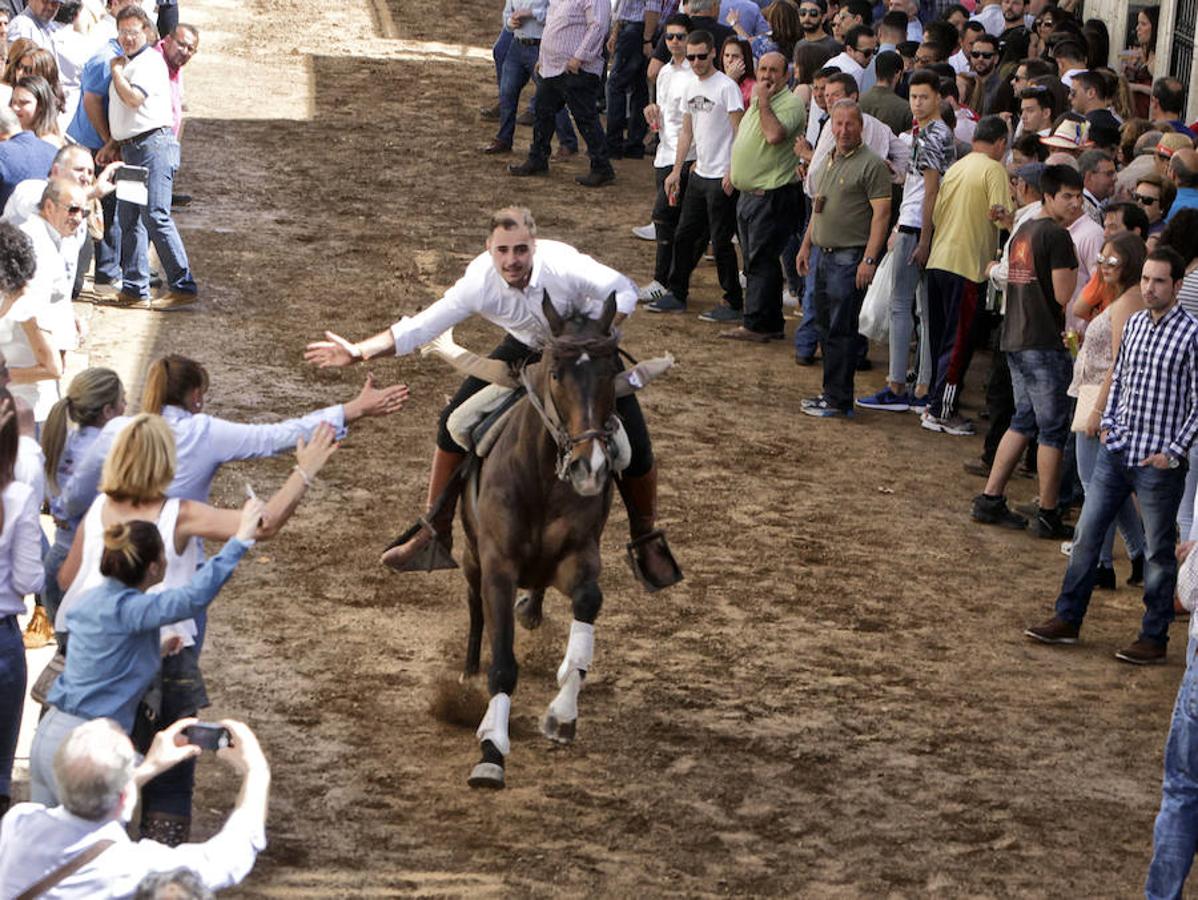 Carreras de caballos del &#039;Día de la Luz&#039;