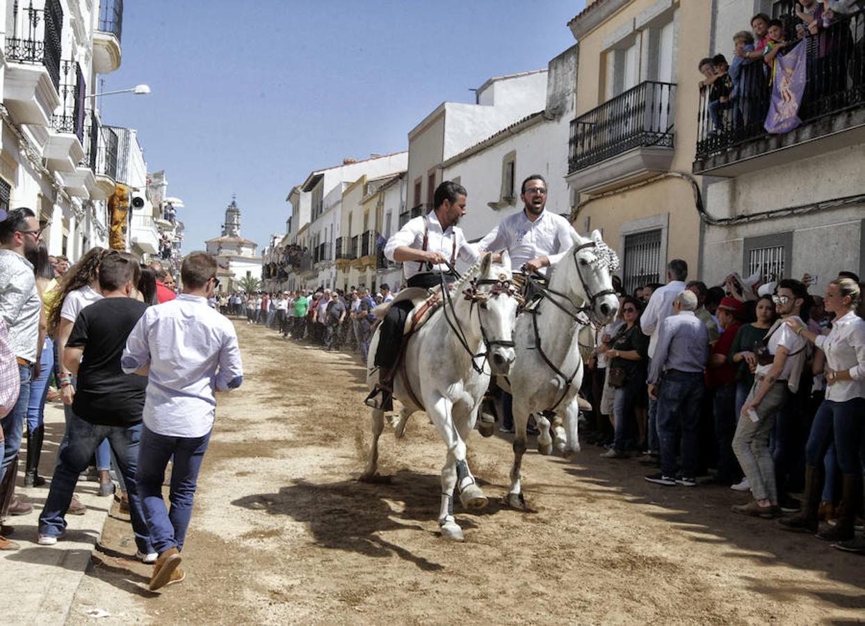 Carreras de caballos del &#039;Día de la Luz&#039;