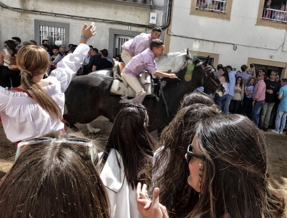 Carreras de caballos del &#039;Día de la Luz&#039;