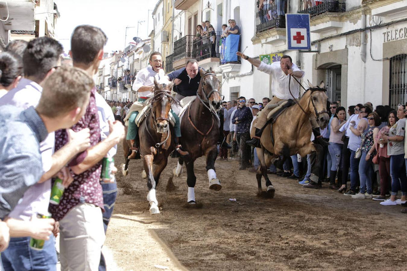 Carreras de caballos del &#039;Día de la Luz&#039;