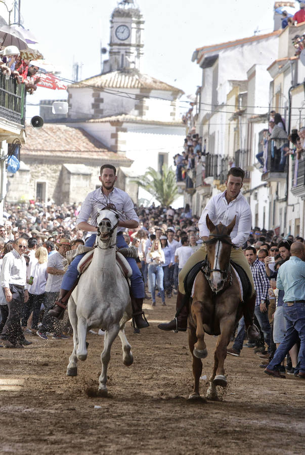 Carreras de caballos del &#039;Día de la Luz&#039;