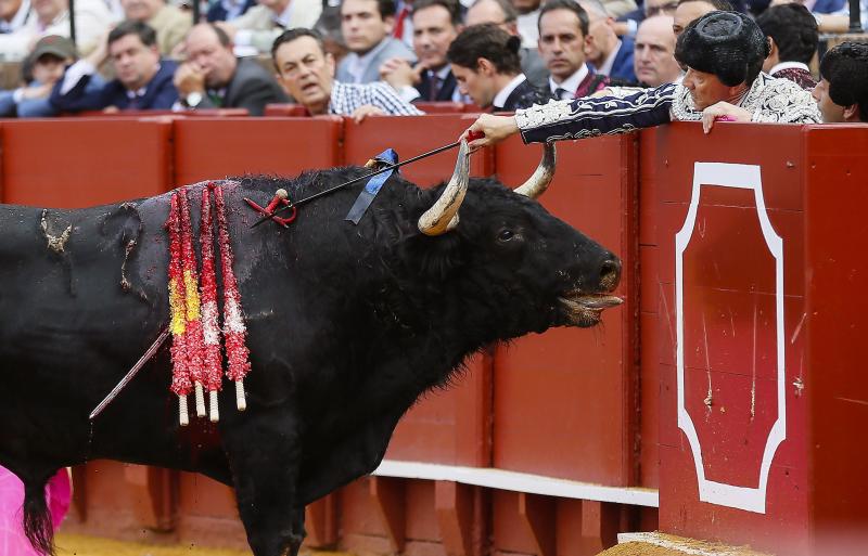 Oreja para la torería de Garrido en Sevilla