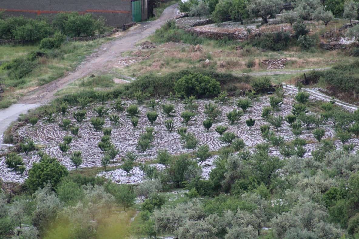 Una granizada causa daños en cultivos del norte de Cáceres