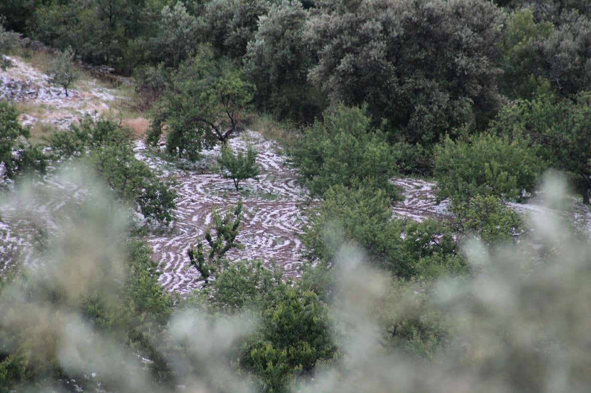 Una granizada causa daños en cultivos del norte de Cáceres