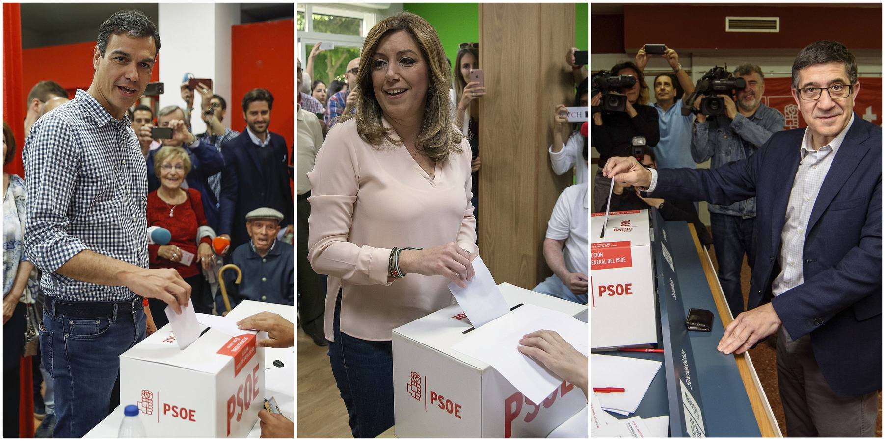 Pedro Sánchez vence en las Primaras del PSOE. Fotografías: Agencias.