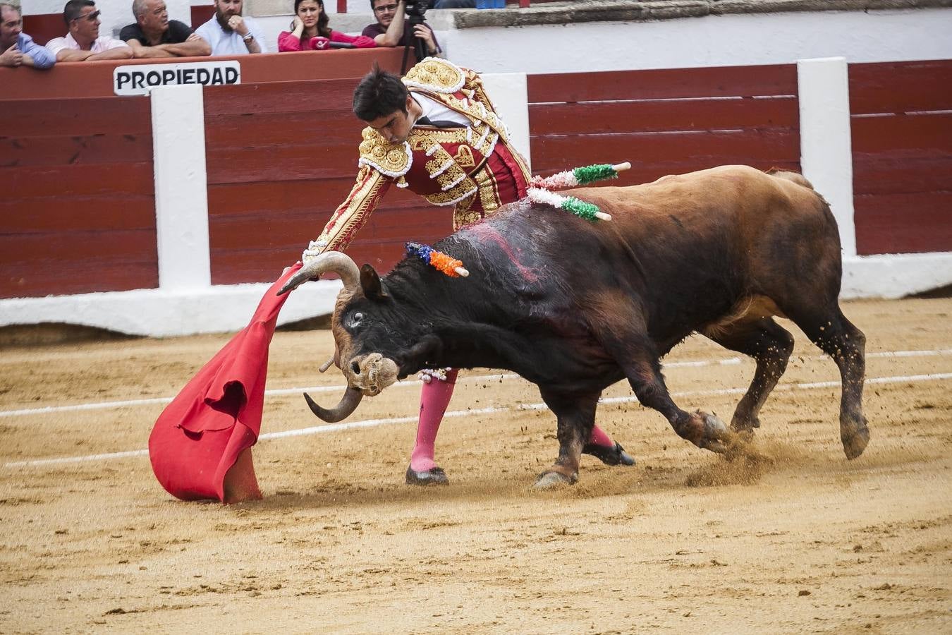 Domingo, 28 de mayo: Miguel Ángel Perera sale por la puerta Grande de la plaza de toros de Cáceres