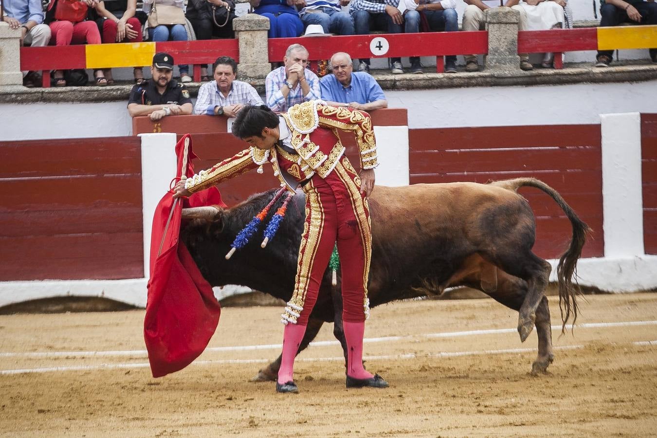 Domingo, 28 de mayo: Miguel Ángel Perera sale por la puerta Grande de la plaza de toros de Cáceres. Fotografía: Jorge Rey