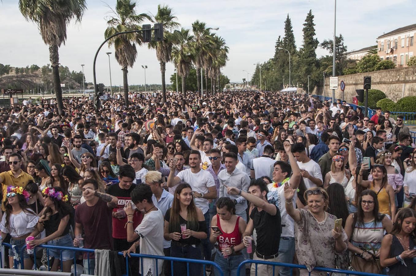 Los Palomos retoman su vuelo