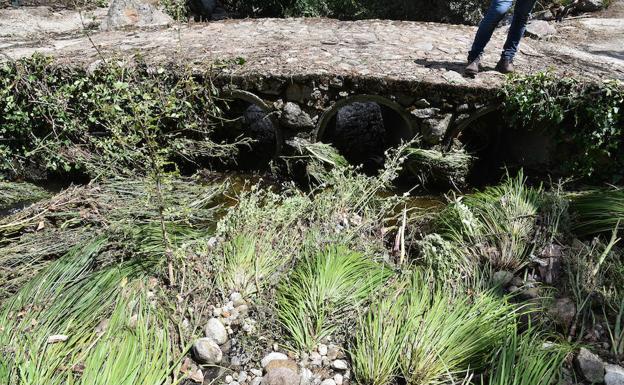 La tromba de agua aún se deja notar en el barranco. :: 