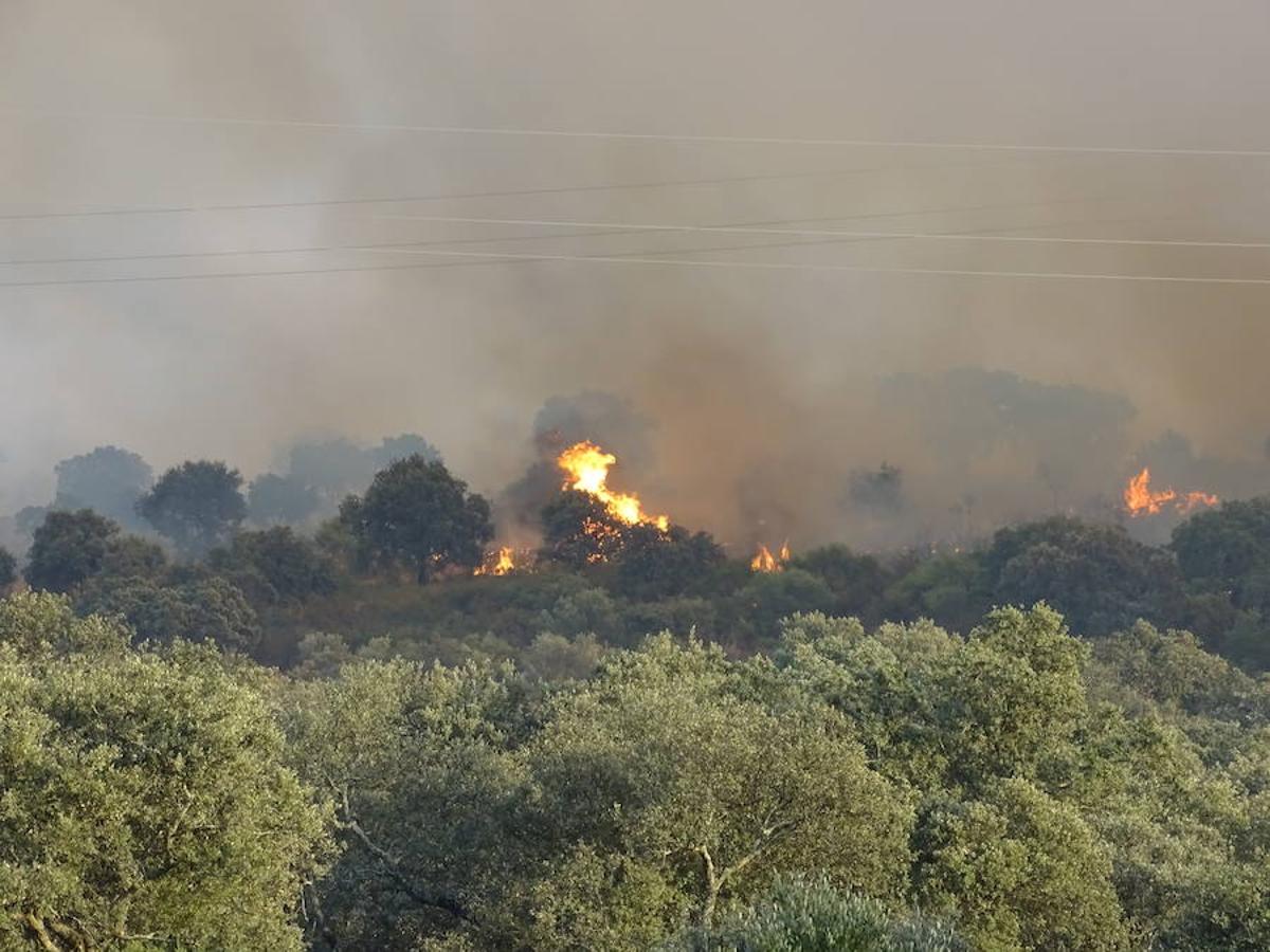 Noche de miedo en Calamonte por el incendio en la Sierra de San Serván