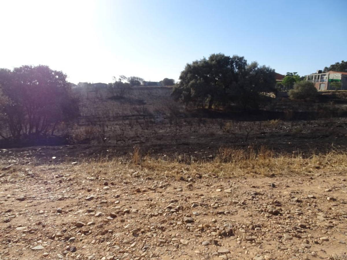 El fuego ha tenido en vilo la pasada noche a los vecinos de Arroyo y Calamonte y así estaban los terrenos afectados por el fuego esta mañana