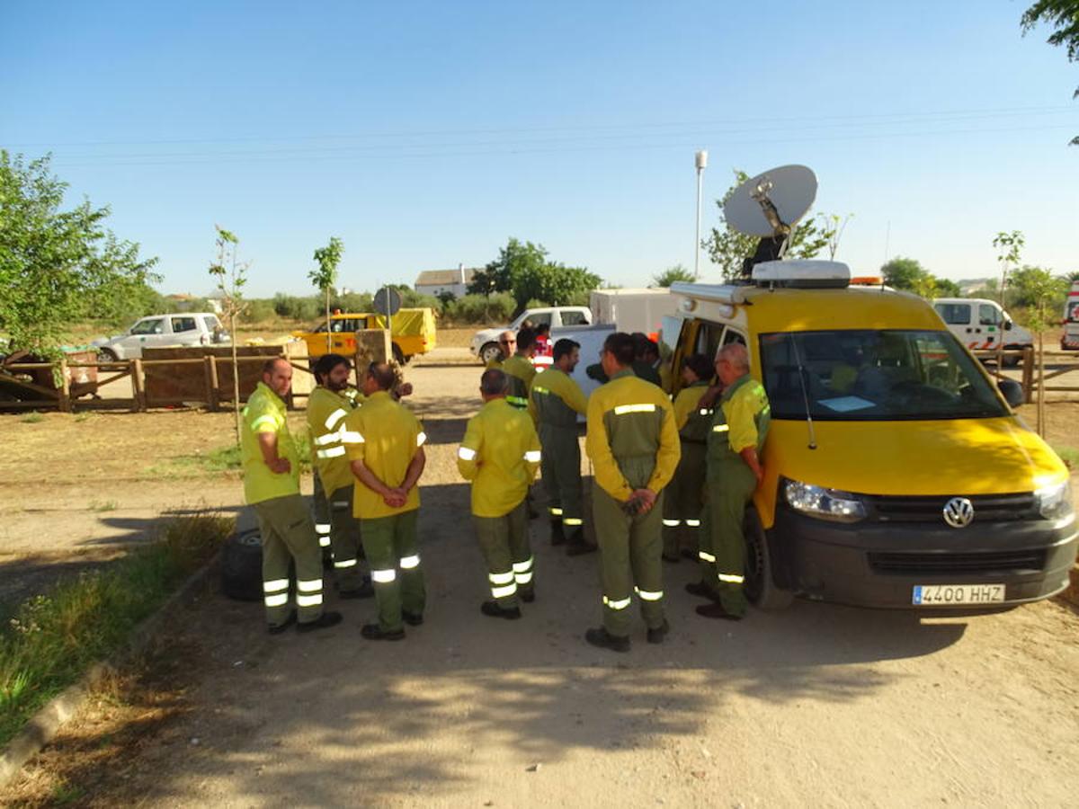 El fuego ha tenido en vilo la pasada noche a los vecinos de Arroyo y Calamonte y así estaban los terrenos afectados por el fuego esta mañana