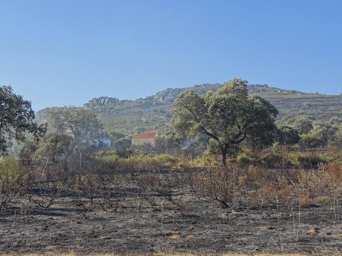 El fuego ha tenido en vilo la pasada noche a los vecinos de Arroyo y Calamonte y así estaban los terrenos afectados por el fuego esta mañana