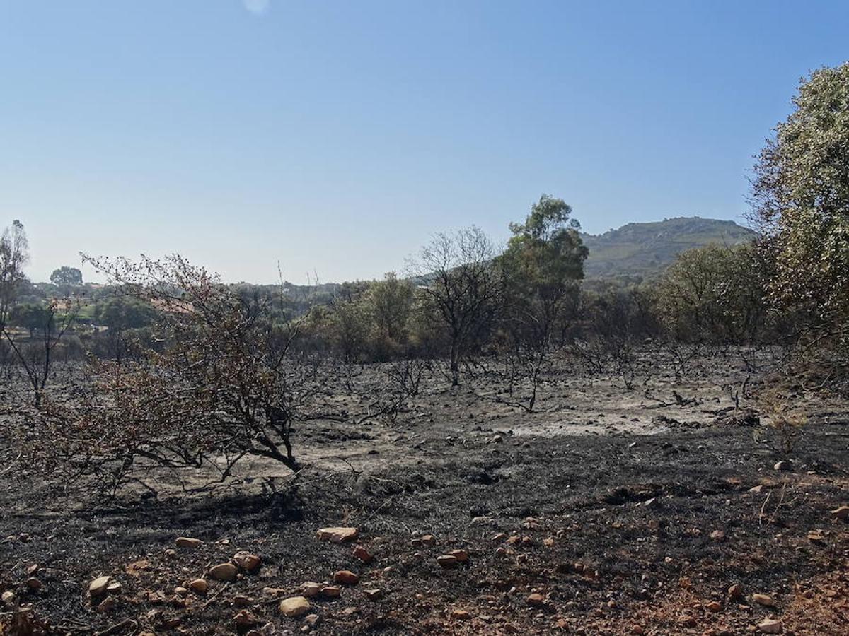 El fuego ha tenido en vilo la pasada noche a los vecinos de Arroyo y Calamonte y así estaban los terrenos afectados por el fuego esta mañana