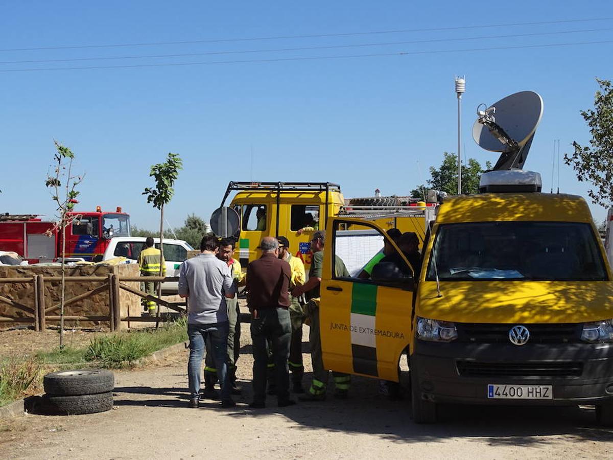 El fuego ha tenido en vilo la pasada noche a los vecinos de Arroyo y Calamonte y así estaban los terrenos afectados por el fuego esta mañana