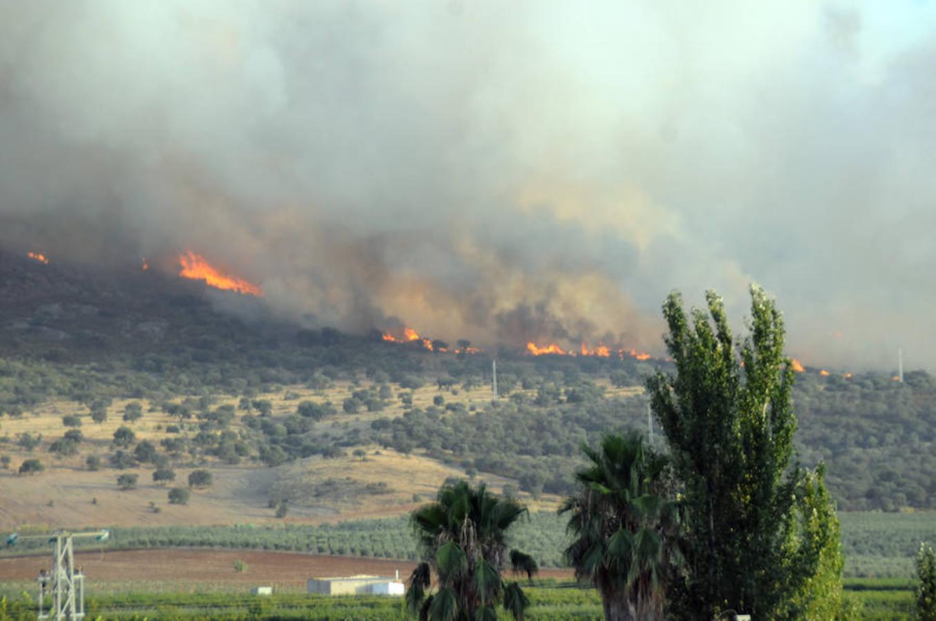 Noche de miedo en Calamonte por el incendio en la Sierra de San Serván